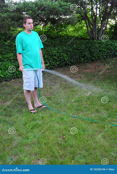 Man Watering His Grass Lawn Stock Photo Image Of Summer Morning