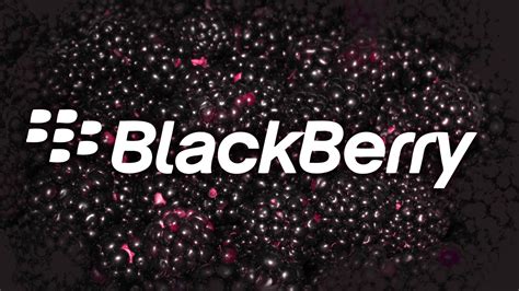 Free Download Blackberry Logo Wallpapers Download Free Desktop