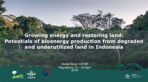 Growing Energy And Restoring Land Potentials Of Bioenergy Production