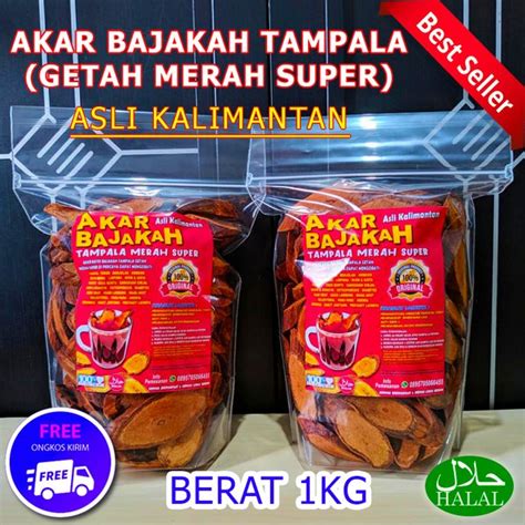 Jual AKAR BAJAKAH TAMPALA HERBAL SUKU DAYAK ASLI KALIMANTAN KAYU BAJAKAH TAMPALA GETAH MERAH