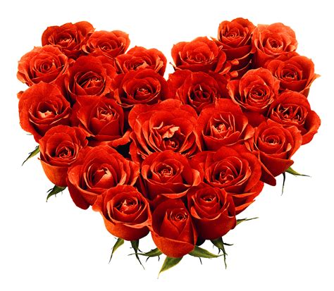Download Bouquet Of Roses Png Image Picture Download Hq Png Image