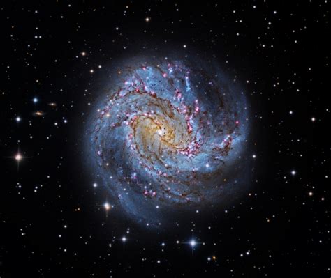 M83 The Southern Pinwheel Galaxy Telescope Live