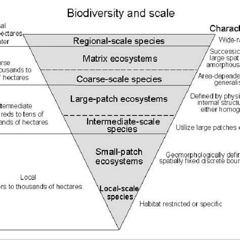 Pdf Planning For Biodiversity Conservation Putting Conservation