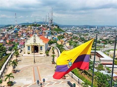 .del voto (mjrv) el próximo 7 de febrero son estudiantes universitarios, informó el consejo nacional electoral (cne). CNE de Ecuador aprueba calendario electoral 2021 | Últimas ...