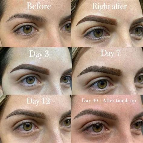 Update More Than 69 Brow Tattoo Before And After Super Hot Vova Edu Vn