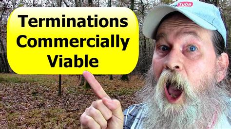 Will Youtube Terminate Your Channel If Its Not Commercially Viable
