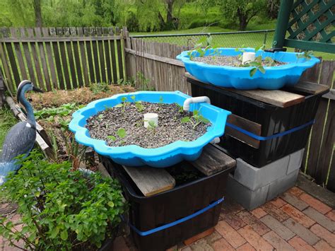 Teijin shoji, grows fresh lettuce and fish. Getting Started in Aquaponics | Aquaponic Gardener