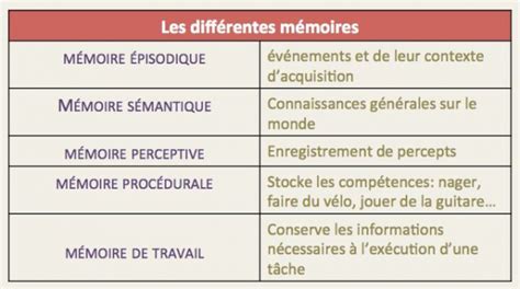 La Mémoire Aperçu De Son Fonctionnement — Au Son Du Fle Michel Billières