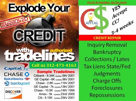 Credit Repair Flyer Template Letter Example Template