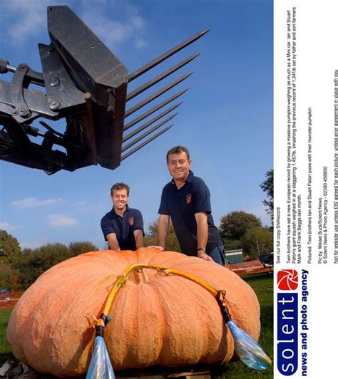 New Forest Twins Grow Uks Biggest Pumpkin That Weighs As Much As A Fiat 500 Dorset Live