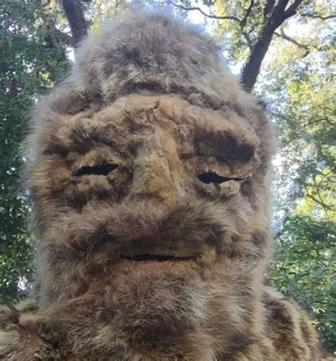 Wandering Shaman Mistaken For Bigfoot In North Carolina Bbc News