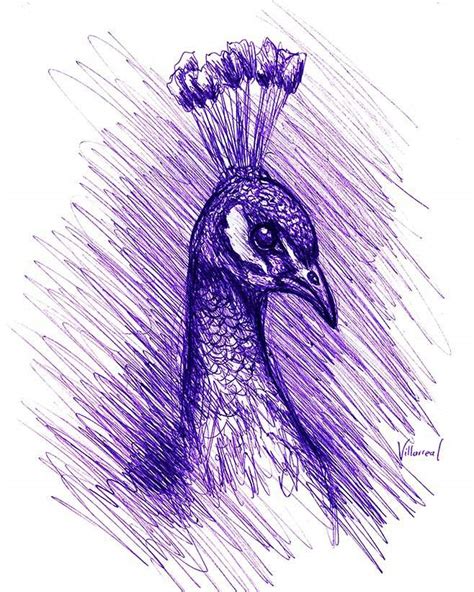Here's a simple way to place the features accurately when drawing a head. Peacock. Drawing with pen. | Art Amino