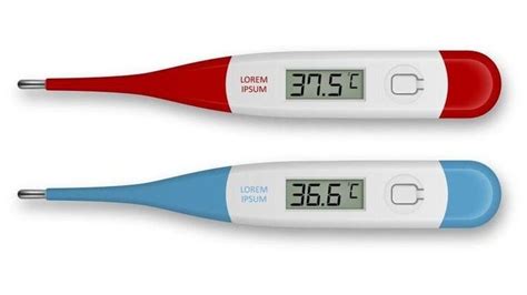 Top 6 Most Accurate Outdoor Thermometers Jan 2024 Reviews And Guide
