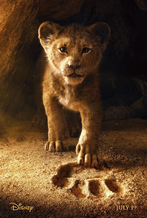 Le Roi Lion Live Action Disney + - Teaser Trailer To Disney's Live-Action Remake Of 'The Lion King