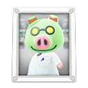 750 x 1000 jpeg 53 кб. Cobb's Photo | Animal Crossing Item and Villager Database ...