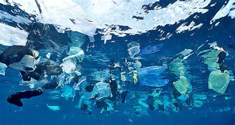 En 2050 Océanos Tendrán Más Plástico Que Peces De Luna Noticias