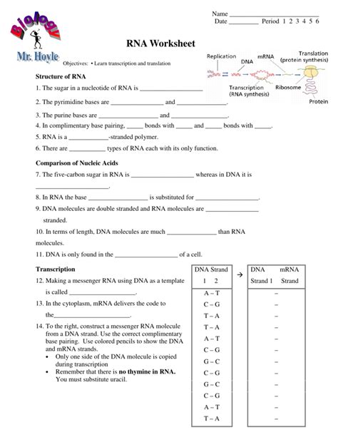 On the worksheet, make the dna strand into mrna codons (review transcription to protein synthesis sheet). Rna Transcription Worksheet Answers — db-excel.com