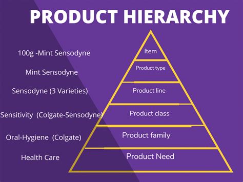 Product Hierarchy Example Of Different Product Levels And Models