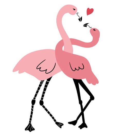 Flamingo Love Dance Essential T Shirt By Kittyworks Flamingo Art