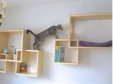 Floating Shelves For Cats Pictures