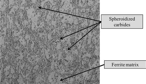 Microstructure Of Martensitic Stainless Steel DIN 1 4110 In The As