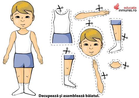 Imagini Pentru Corpul Uman De Colorat Body Preschool Preschool English Activities