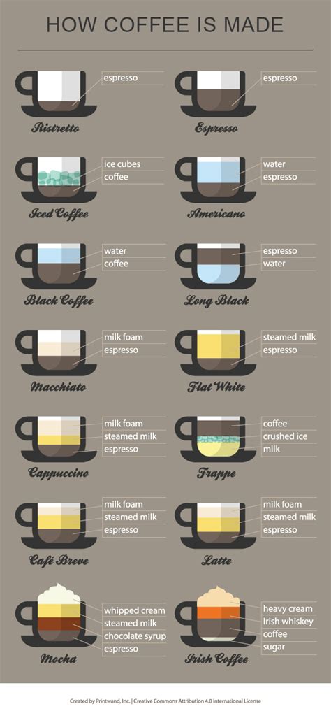 Coffee Infographic Everything You Need To Know About Coffee Coffee