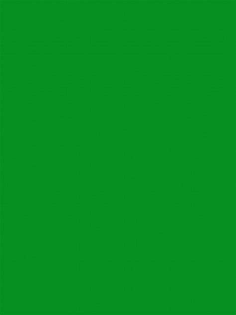 Economy Chromakey Green Screen Backgrounds And Backdrops For Digital