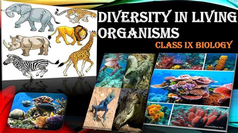 Diversity In Living Organisms Class 9 Science Full Chapter Exam Notes