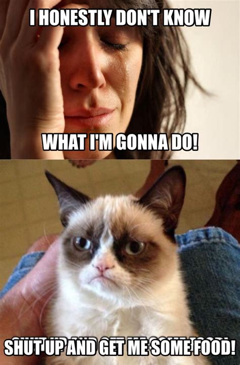 Grumpy Cat Grumpy Cat Quotes Funny Grumpy Cat Memes Cat Jokes Grumpy