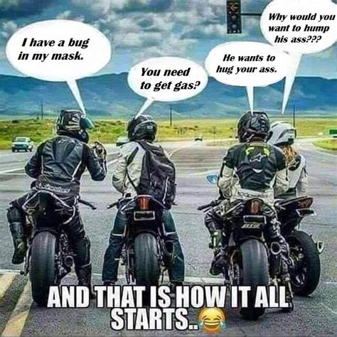 Best Harleyriding Memes Lets See Em Page 97 Harley Davidson Forums