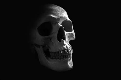 Download hd black wallpapers best collection. Skull Black Background ·① WallpaperTag