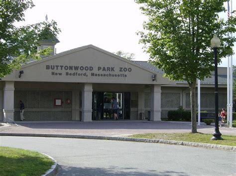 Buttonwood Park Zoo Alchetron The Free Social Encyclopedia