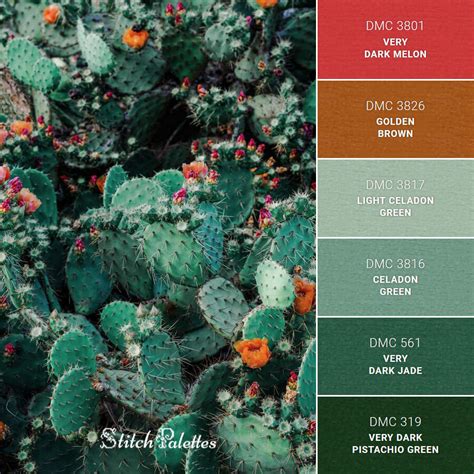 Cactus In Bloom Embroidery Color Palette With Thread Codes