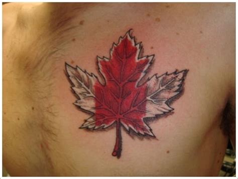 55 Lovely Leaf Tattoo Designs To Try With Meaning