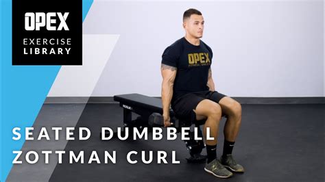Seated Dumbbell Zottman Curl Opex Exercise Library Youtube