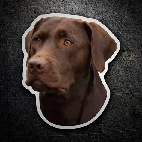 Sticker Labrador Retriever Chocolate Dog Sticker