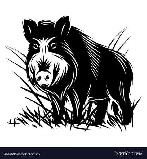 Wild Hog Vector At Collection Of Wild Hog Vector Free