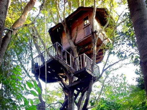 Rabeang Pasak Tree House Resort Chiang Mai 2024 Updated Prices Deals
