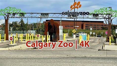 Calgary Zoo Canadas Most Visited Zoo One Of The Top Zoos In The
