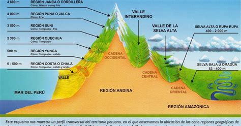 Social Site Las 8 Regiones Naturales Del Perú Esquema Gráfico