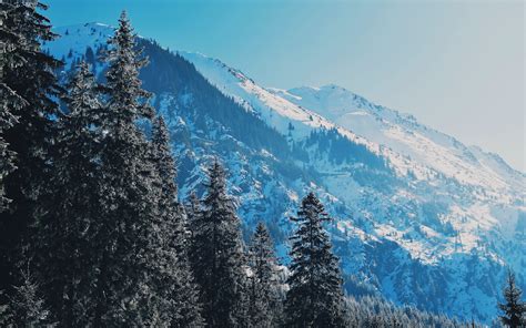 Download Wallpaper 3840x2400 Mountains Trees Pines Slopes Snowy 4k