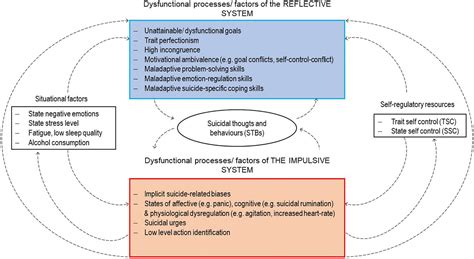 Frontiers Understanding Suicidal Pathways Through The Lens Of A Dual System Model Of