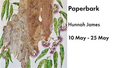 Paperbark Exhibition Tactile Arts