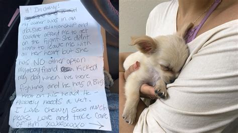 Puppy Abandoned In Airport Alongside Note From Abused Owner Abc13