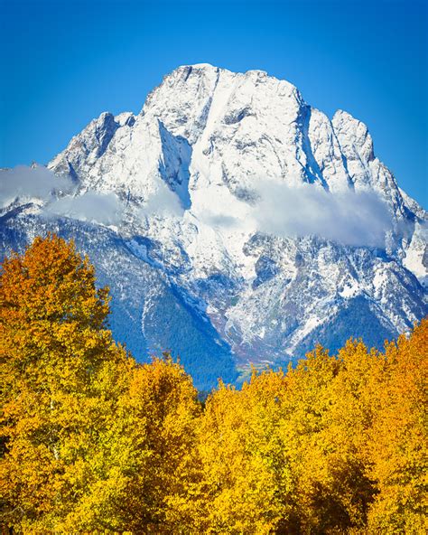 Fall In Grand Teton And Yellowstone National Parks Eco Tour Adventures