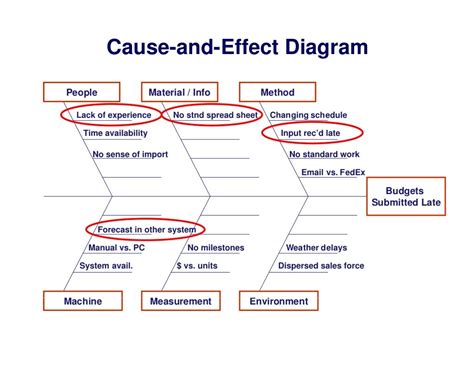 Cause And Effect Diagram Editable Template