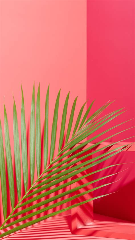 West Elm Tropical Leaves Pink Mobile Wallpaper Download