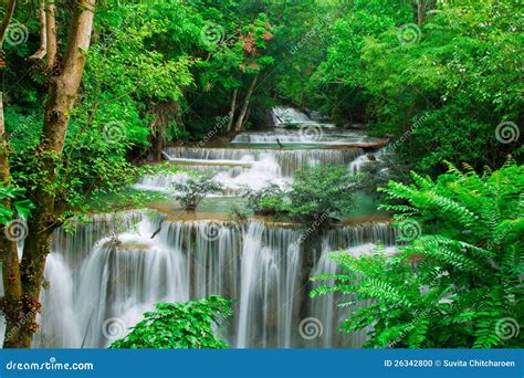 Waterfall In Fresh Green Forest Stock Photo Image Of Jungle