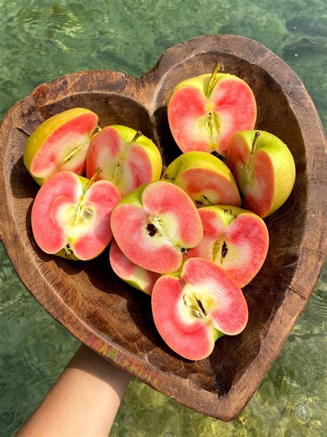 Hidden Rose Apple Buy Organic Pink Inside Apples Online From Miami Fruit